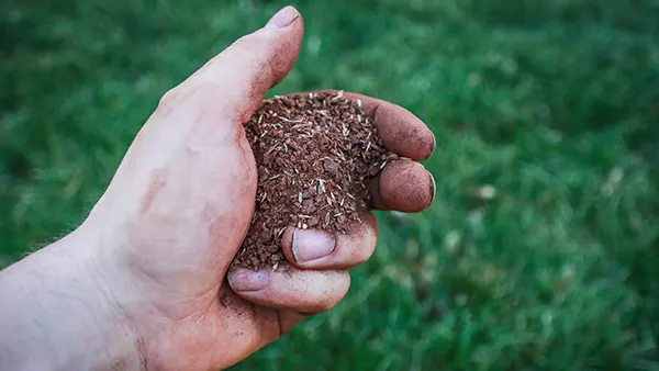 Overseeding