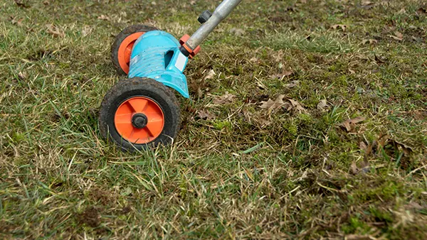 Lawn Dethatching